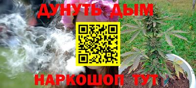 jwh Котовск