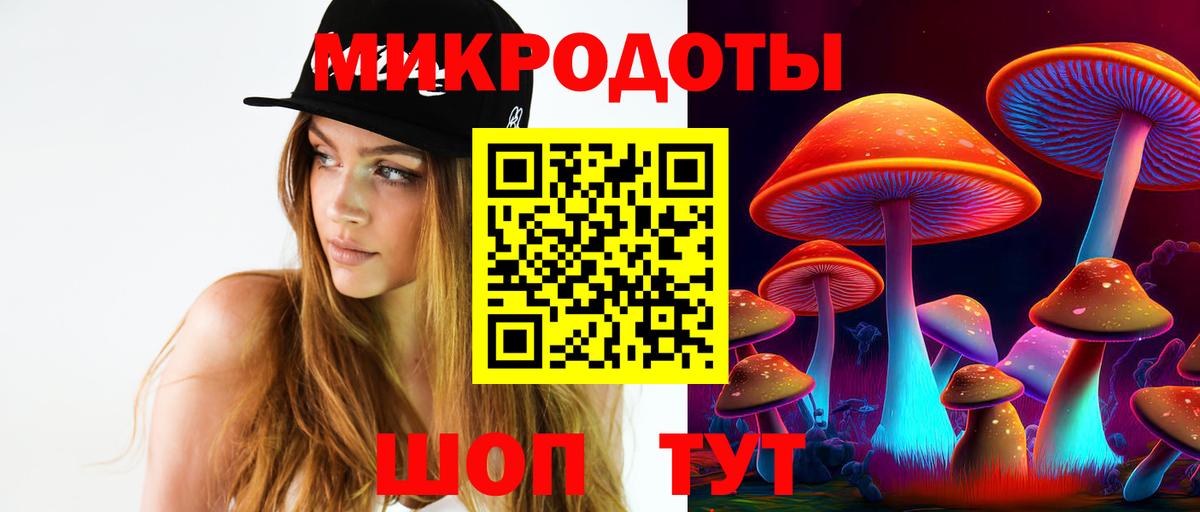 Галлюциногенные грибы Psilocybe Усолье-Сибирское